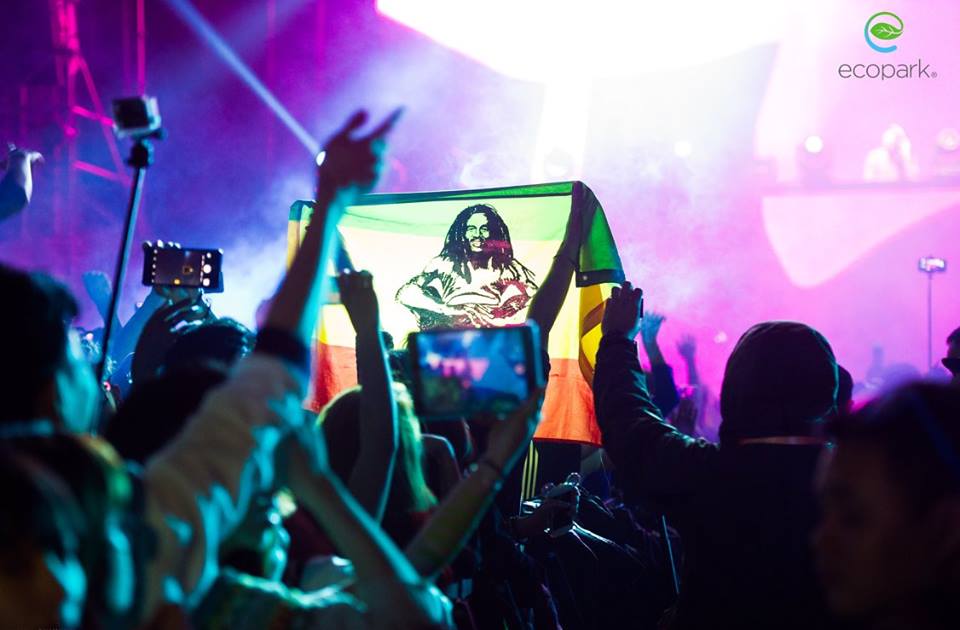 Steve Aoki  9