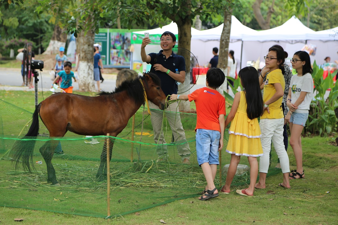 Festival Dieu Quoc te Ecopark 2016 15