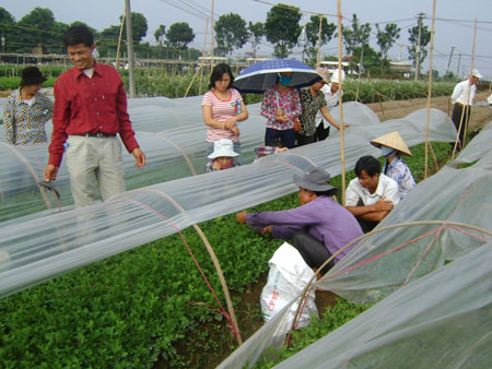 nong dan trong hoa 4