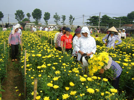 nong dan trong hoa1