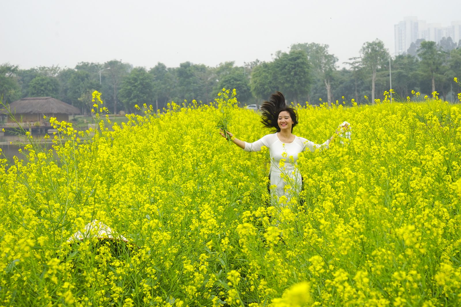 Mùa hoa cải Eco.