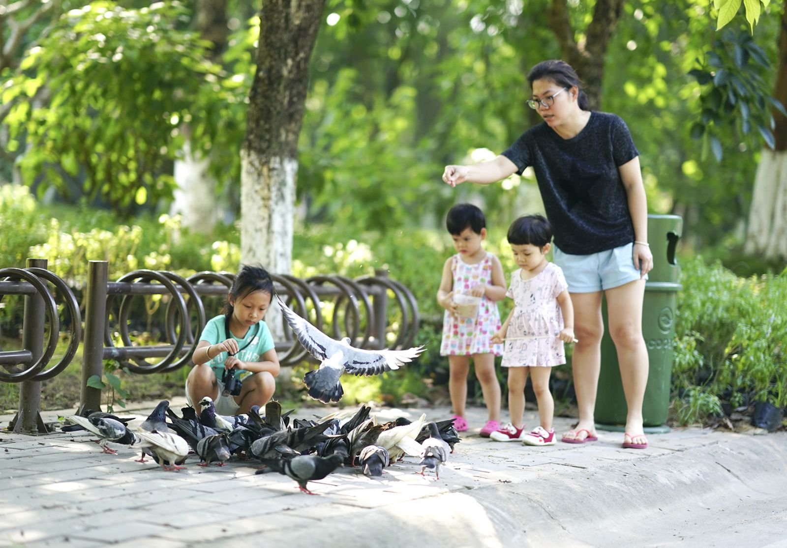 Chúng cháu muốn là bạn với chim.